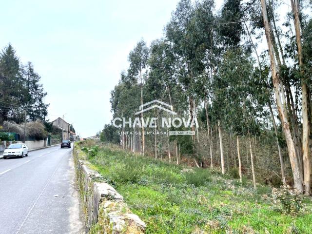Terreno venda em Abrantes, Santarém