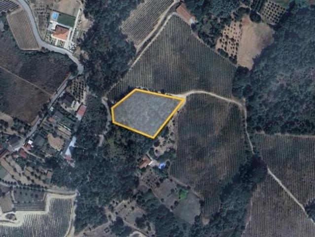 Terreno venda em Corvos-à-Nogueira, Viseu