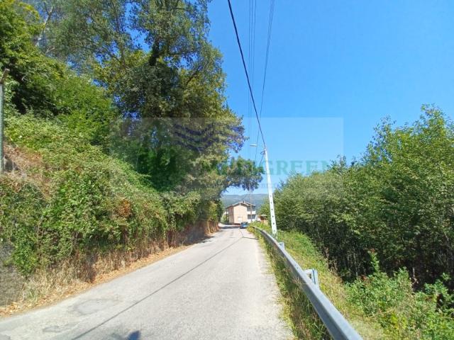 Terreno venda em Sever Do Vouga, Aveiro