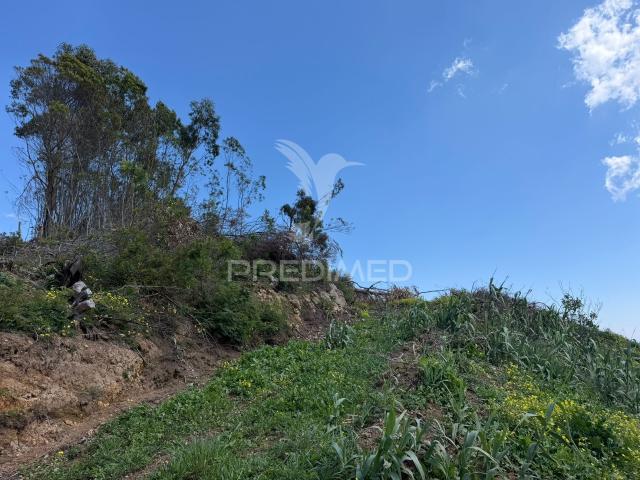 Terreno venda em Pico da Cruz, Ribeira Brava