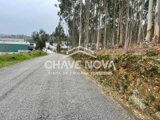 Terreno venda em Oliveira De Azeméis, Aveiro