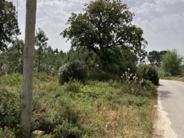 Terreno venda em Seixal, Setúbal