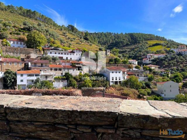 Terreno venda em Sabrosa, Vila Real