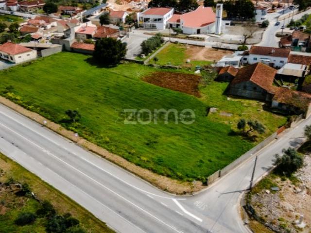 Terreno venda em Alcobaça, Leiria