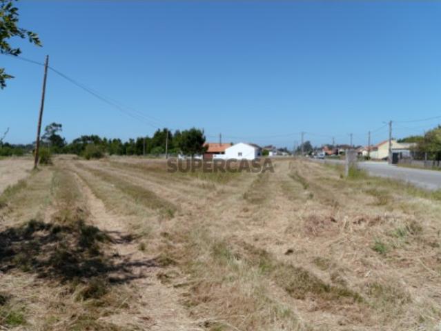 Terreno venda em Figueira Da Foz, Coimbra