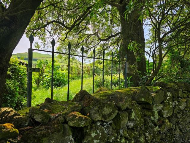 Terreno venda em Açores, Ribeira Grande