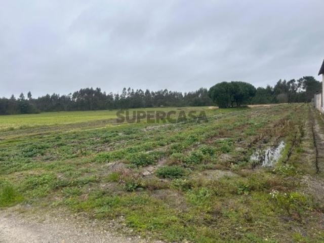 Terreno venda em Cantanhede, Coimbra