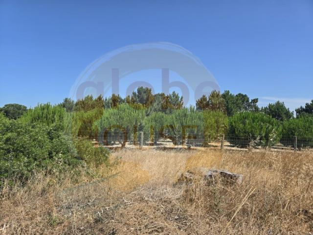Terreno venda em Sesimbra (Castelo), Sesimbra