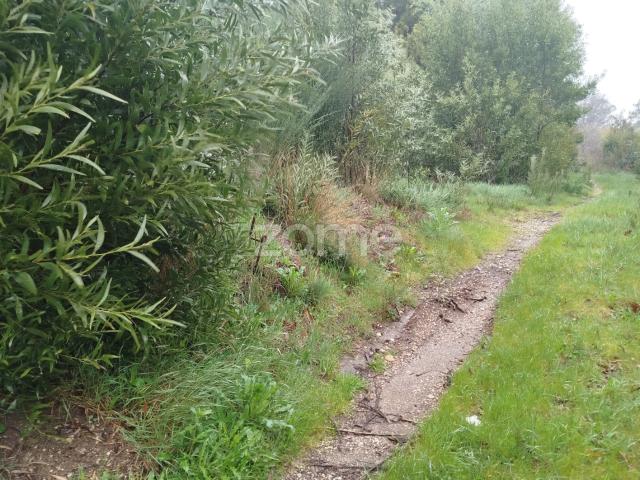 Terreno venda em Abrunhosa do Mato, Mourilhe