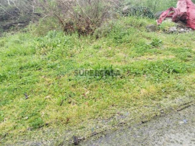 Terreno venda em Mangualde Terreno venda em Mangualde