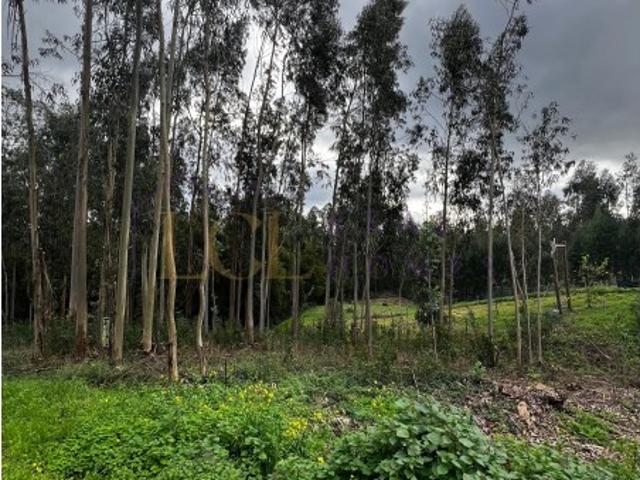 Terreno venda em Leiria