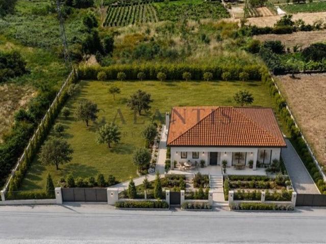 Terreno venda em Vila Real