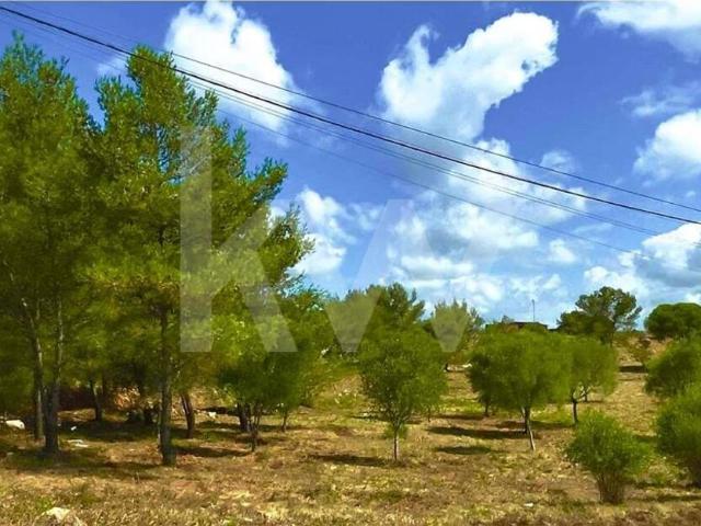 Terreno venda em Alcabideche