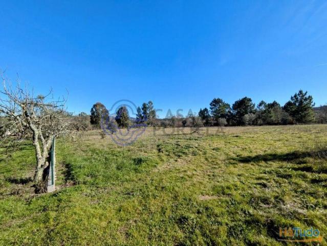Terreno venda em Mourilhe, Viseu