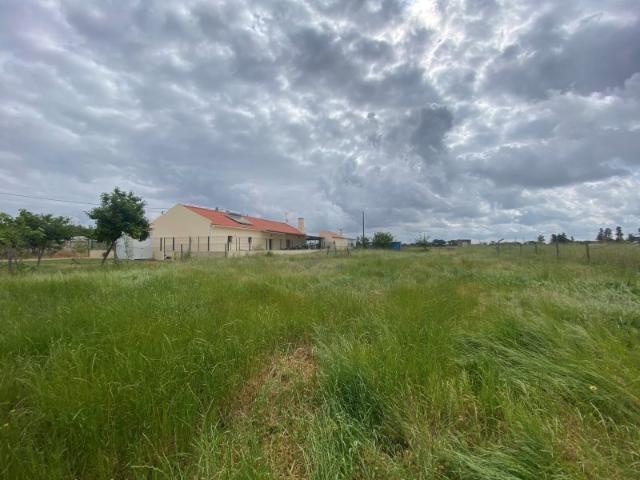 Terreno venda em Porto Alto, Benavente