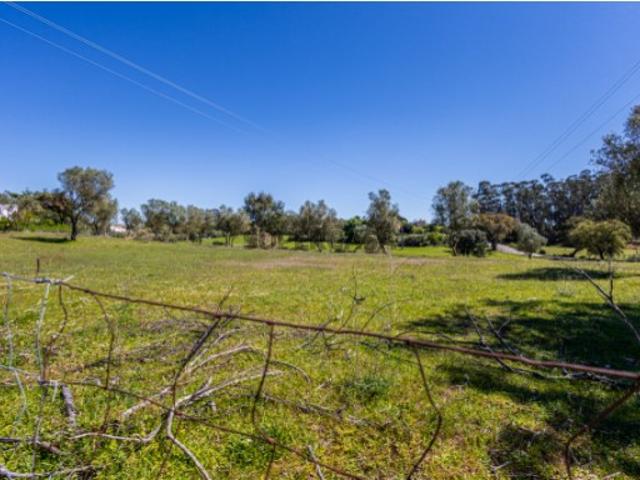 Terreno venda em Santarém