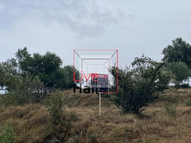 Terreno venda em Mafra, Lisboa
