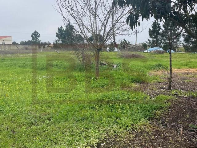 Terreno venda em Salvaterra De Magos, Santarém