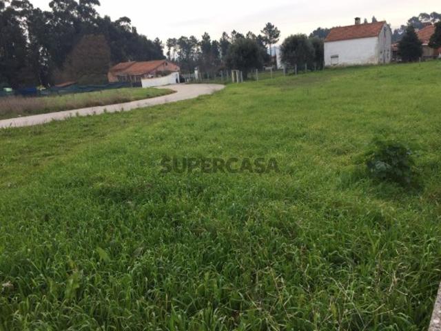 Terreno venda em Anadia, Aveiro