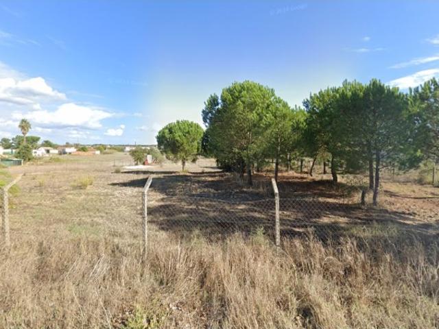 Terreno venda em Colonato de Santo Isidro de Pegões, Montijo