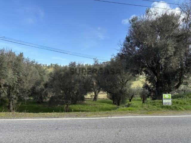 Terreno venda em Castelo Branco, Aldeia Nova Do Cabo
