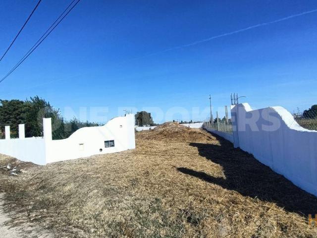 Terreno venda em Salvaterra De Magos, Santarém