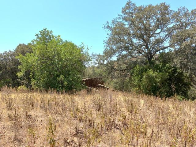 Terreno venda em Santa Catarina da Fonte do Bispo, Tavira