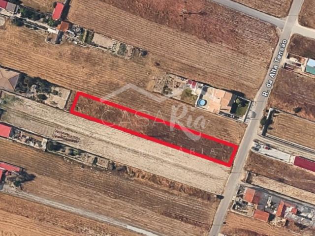Terreno venda em Gafanha da Boa Hora, Vagos
