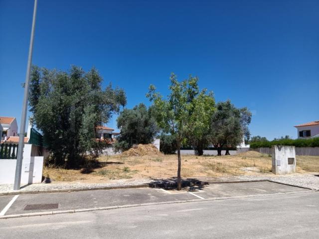 Terreno venda em Santo Estevão, Santo Estêvão