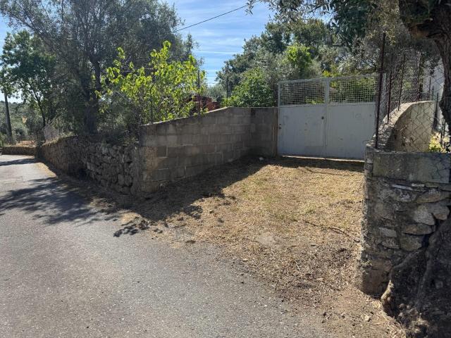 Terreno venda em Castelo Branco