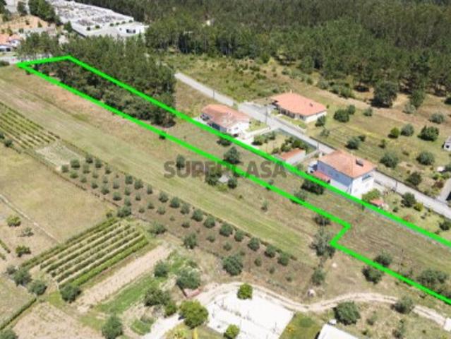 Terreno venda em Pombal, Pelariga