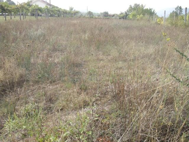 Terreno venda em Monção, Viana Do Castelo
