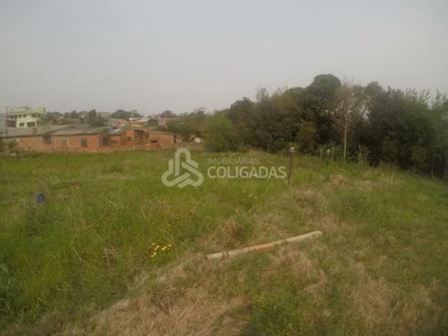 Terreno venda em Passo Fundo