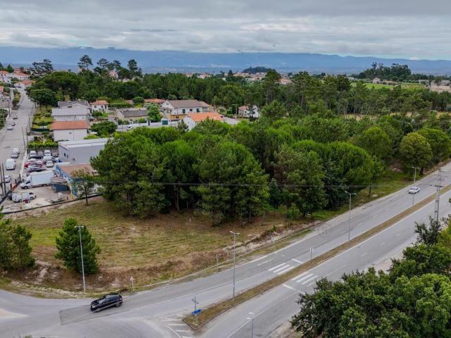 Terreno venda em Nelas