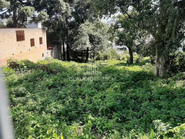 Terreno venda em Região Geográfica Imediata de Caxias do Sul, Caxias do Sul