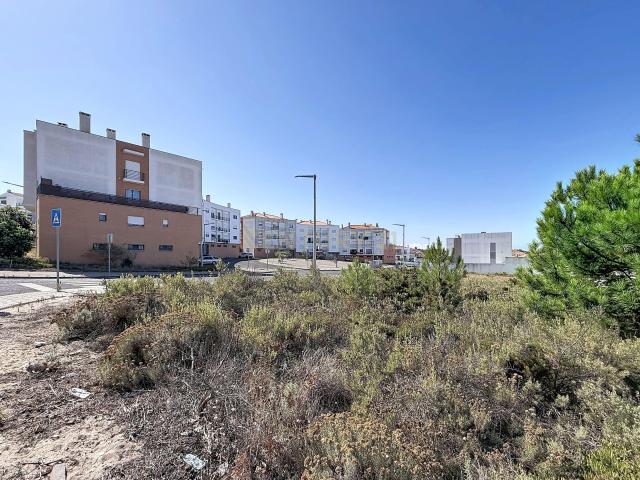 Terreno venda em Pederneira, Leiria