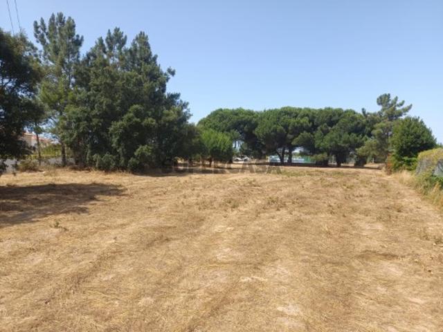 Terreno venda em Sesimbra (Castelo), Sesimbra