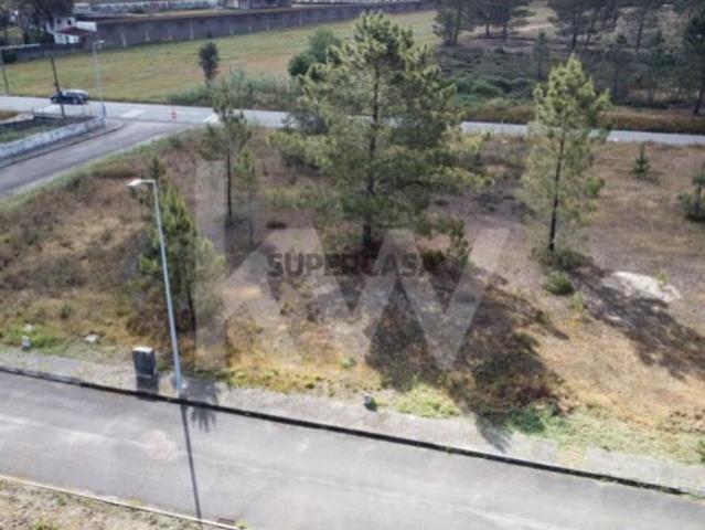 Terreno venda em Coruche, Santarém