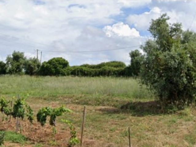 Terreno venda em Cadaval, Lisboa