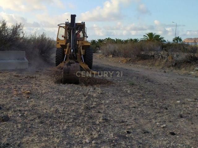 Terreno venda em Ilha Da Madeira