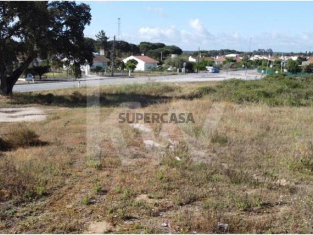 Terreno venda em Coruche, Santarém