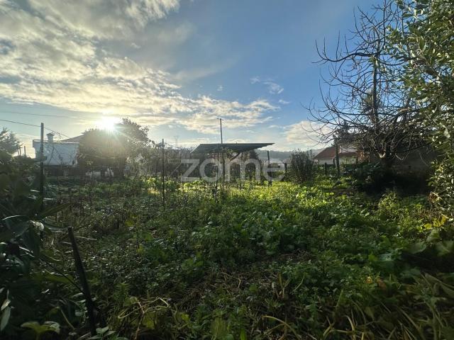 Terreno venda em Oliveira (Santa Maria), Gavião