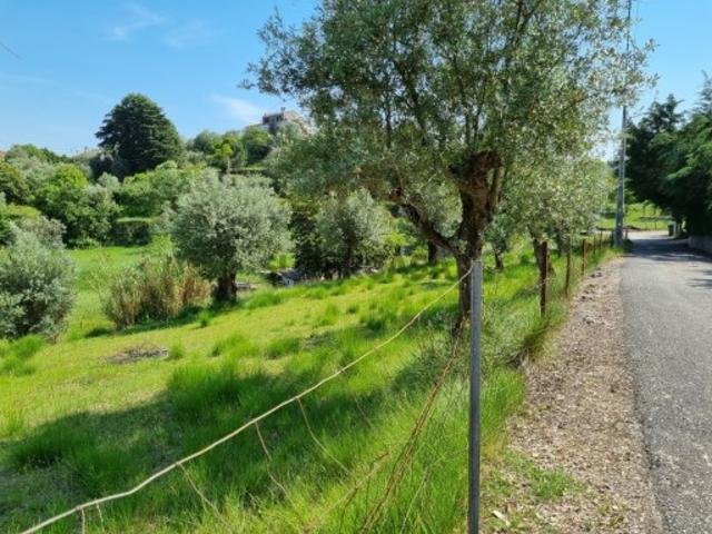 Terreno venda em Tomar, Santarém