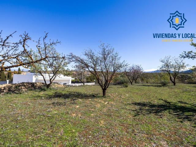 Terreno en venta en Comarca de la Vega de Granada, Andalucía