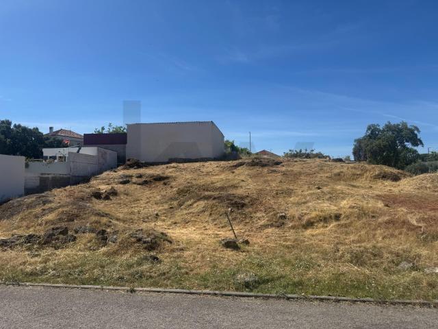 Terreno venda em Castelo Branco