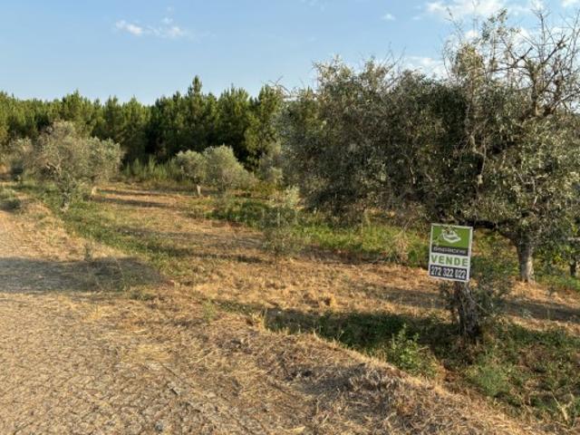 Terreno venda em Castelo Branco, Aldeia Nova Do Cabo