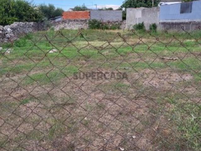 Terreno venda em Castelo Branco