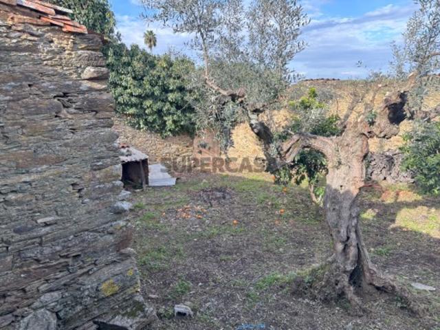 Casa venda em Castelo Branco, Vila Velha De Ródão