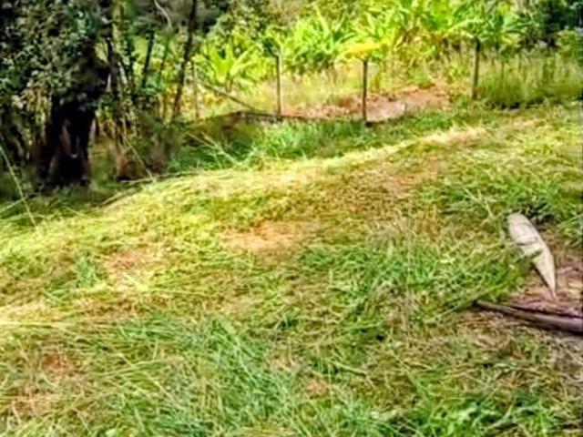 Terreno venda em Vila Esperança, Extrema