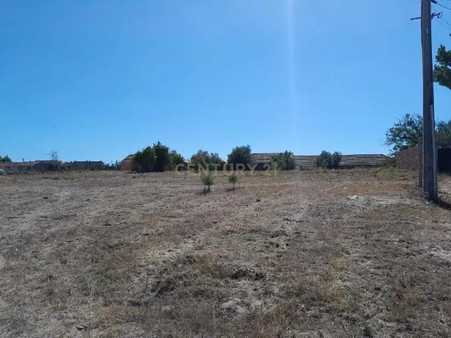 Terreno venda em Juncal, Porto De Mós